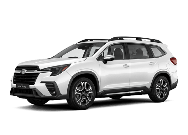 evoltis NEW EVOLTIS LIMITED GARDX