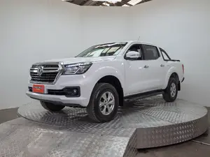 RICH ZNA DONGFENG