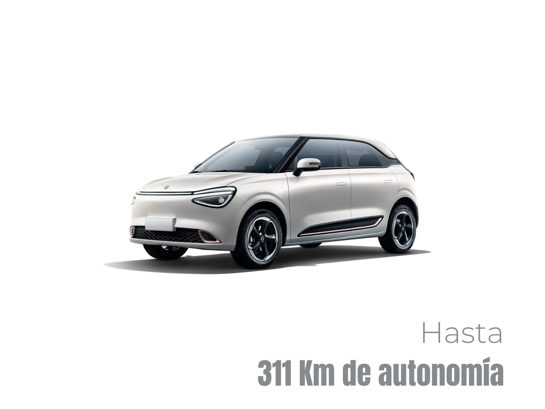 Hasta 311 Km de autonomía (4)