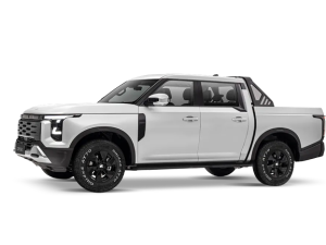 DFSK New Z9