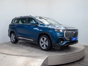 Geely OKAVANGO usado