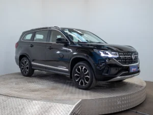 DONGFENG T5 usado