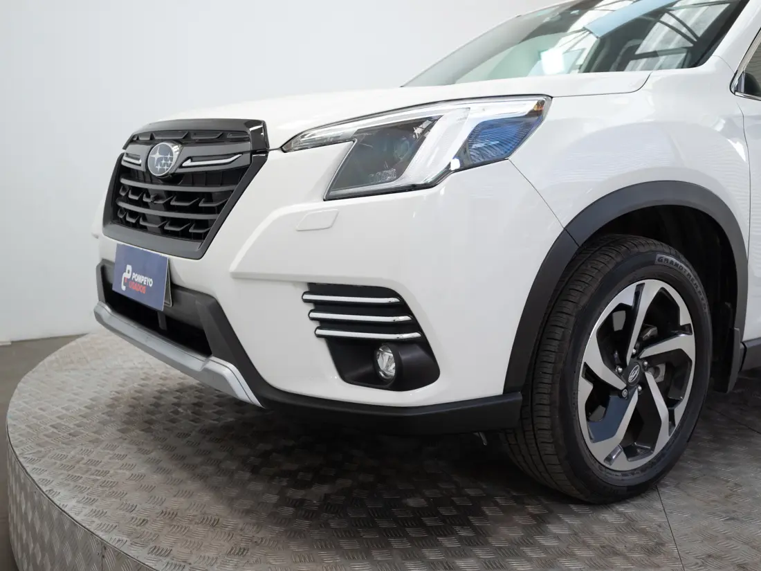 Subaru Forester — foto 20 de 22