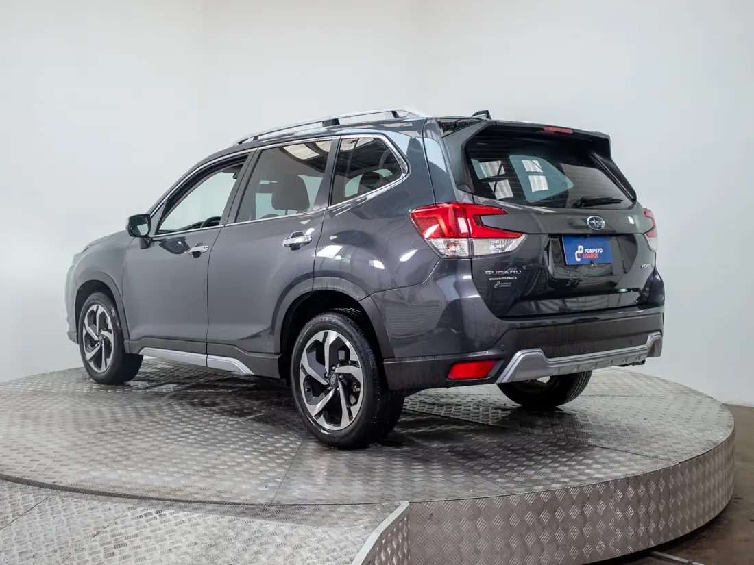 Subaru New Forester — foto 4 de 19