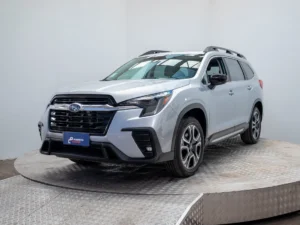 Subaru EVOLTIS usado